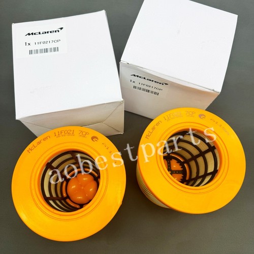 Air filter kit - filter, 11f0217cp
