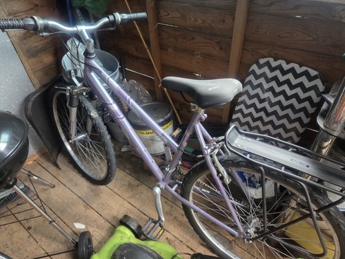 Raleigh bike wheels - raleigh,