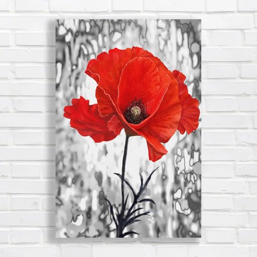 Vibrant red poppy canvas print - vibrant,