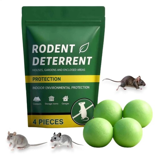 Peppermint oil rat - peppermint,