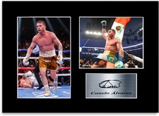 Canelo alvarez boxing - canelo,
