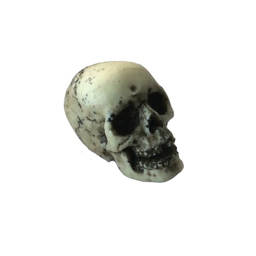 Skull motorcyle skeleton - 1,