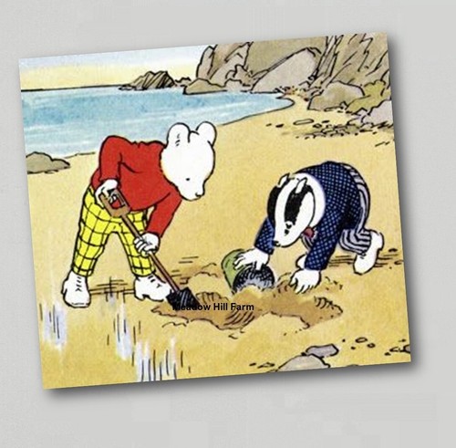 Fridge magnet rupert - the, bear