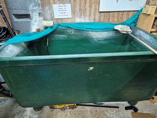 Koi grow tank - koi, on