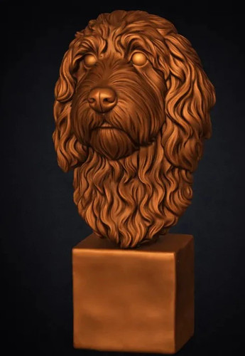Barbet bust - barbet,
