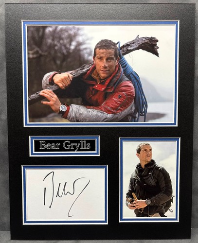 Bear grylls adventurer - bear, &