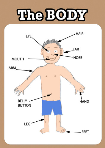Body poster kids learning - kids, a4