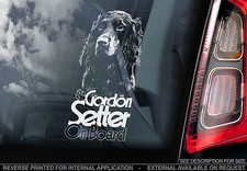 Gordon Setter - Car Window