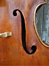 Old Cello lab. "P. GAGGINI