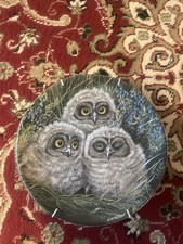 The Baby Owls By Dick Twinney