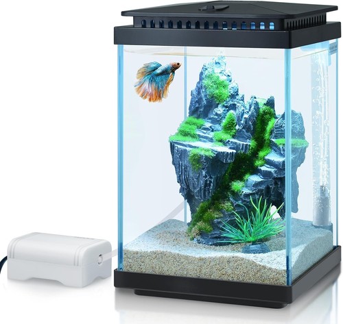 Gallon glass aquarium - 1,