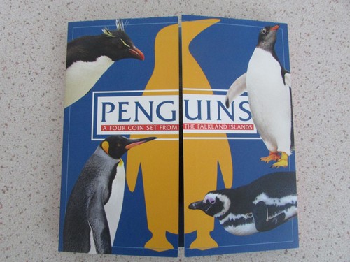 2017 falkland island penguins - falkland,