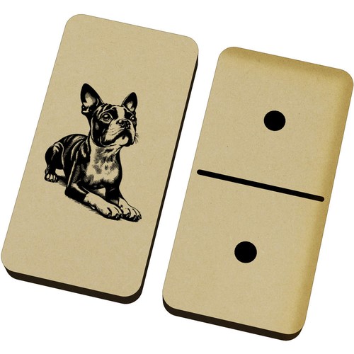 Cute boston terrier domino - boston,