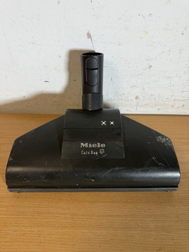 Miele cat dog floor - dog, head