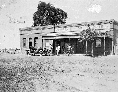 Durham victoria 1907 a - ox,