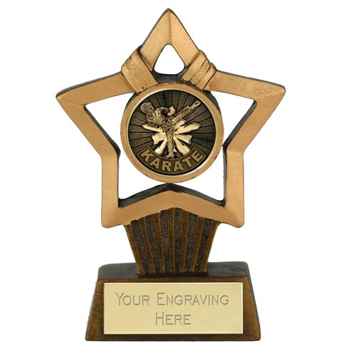 Martial arts karate award - karate, mini