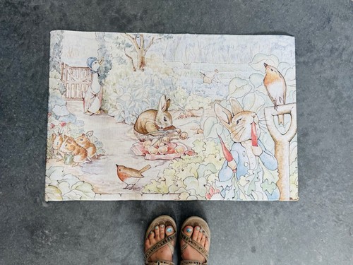 Peter rabbit beatrix potter - rabbit,