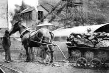 Ook-1 Mining, Pit Pony