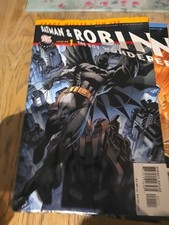 Batman and Robin, The Boy