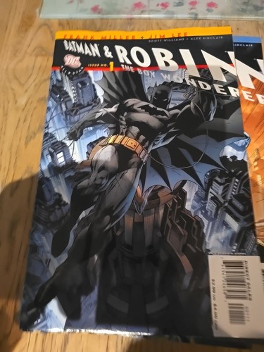 Batman and robin the boy - batman,