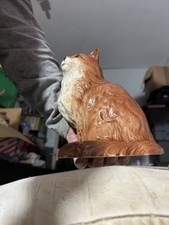 Large  Ginger Beswick Cat