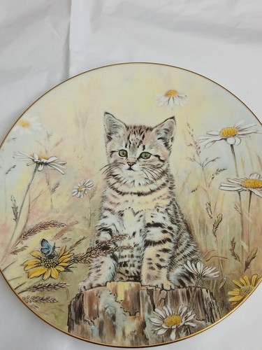 Royal worcester tiger fancy - royal, tiger's