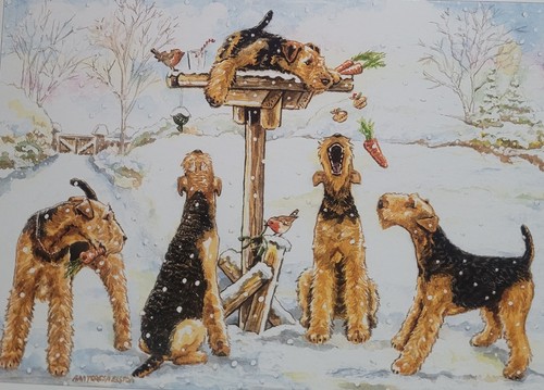 Table raiders airedale - 'table,