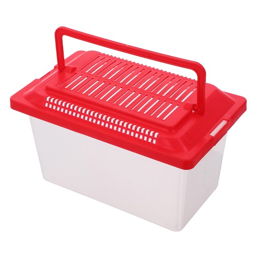 Small aquarium plastic - aquarium, fish