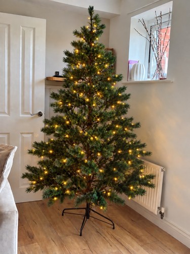 George home 5ft butte pine - home,