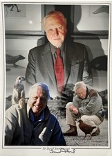 David attenborough large - attenborough, a2
