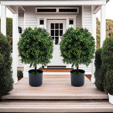 Set of 2 Potted Artificial