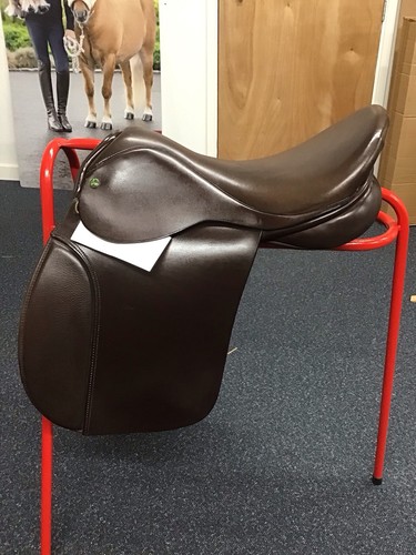 Ideal working hunter - working, saddle