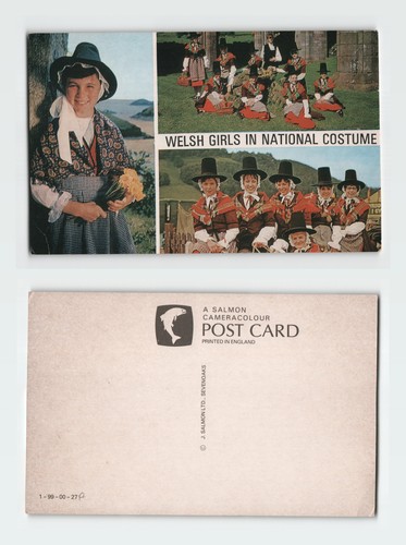 Vintage postcard welsh girls - postcard,