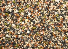 GERMINATION SEED 950G COUNTRYWIDE SOAK SEED GERMINATING FOR CANARIES ALL  BIRDS