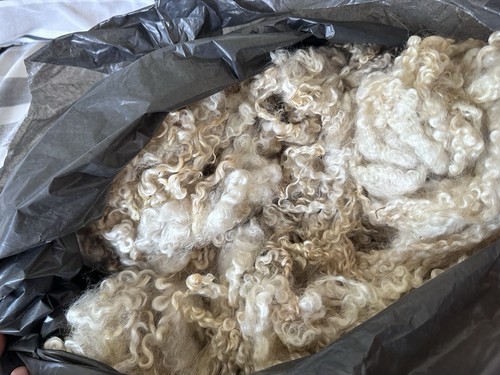 Washed wensleydale wool fleece - washed,