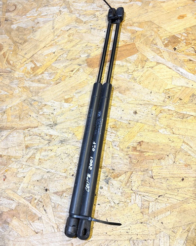 Bonnet gas springs - springs, front