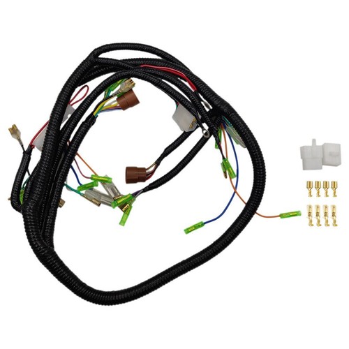 Main wiring harness - main,