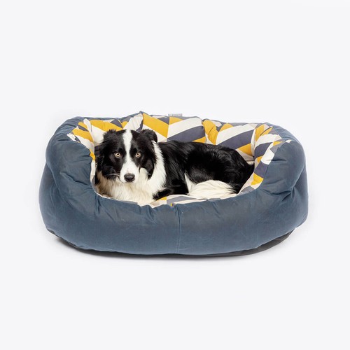Memory foam dog danish - foam,