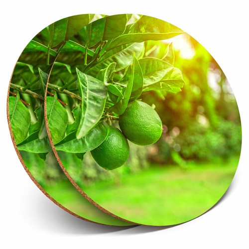 Coasters citrus fruits - coasters,