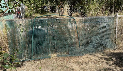 Omlet run with - omlet, door