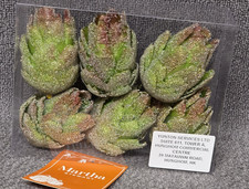 Unique Martha Stewart Glitter