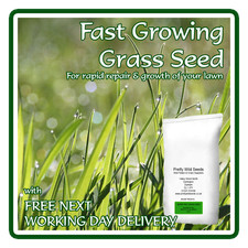 FAST RAPID SEED HARD WEARING BACK LAWN GARDEN GRASS SEED CHILDREN DOGS 1-500 Kg