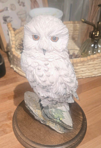 Country artists snowy owl - artists,