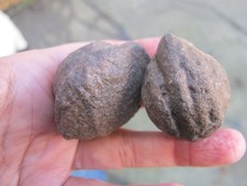 Moqui Marbles Crystal