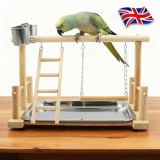 Bird Playground Parrot Play