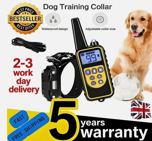 800m electric pet - pet, dog