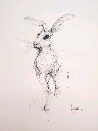 Original hare ink sketch - hare, #77