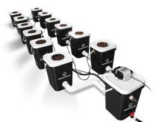 Deep Water Culture Twelve 20