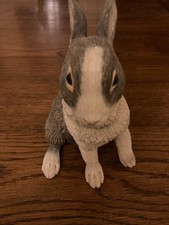 Country Artists Grey and White Rabbit Sitting Natural World (03363)