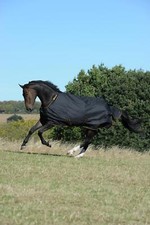 Bucas New Turnout Light